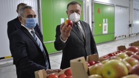 Под Ростовом открылся крупный фруктовый центр на 2500 тонн хранения